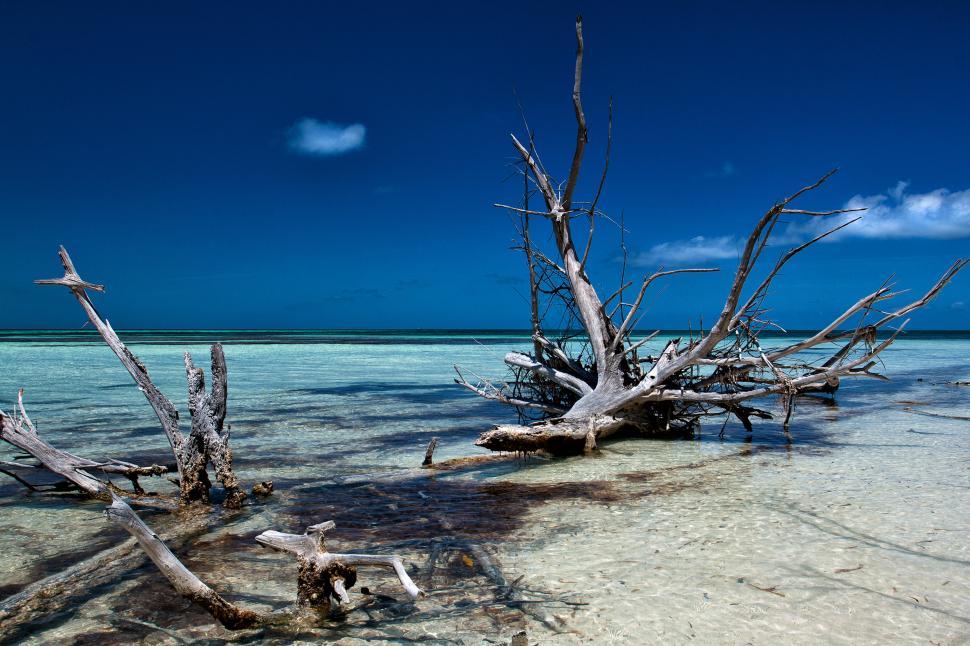Free Image of Caribbean Coastline Free Stock Photo 
