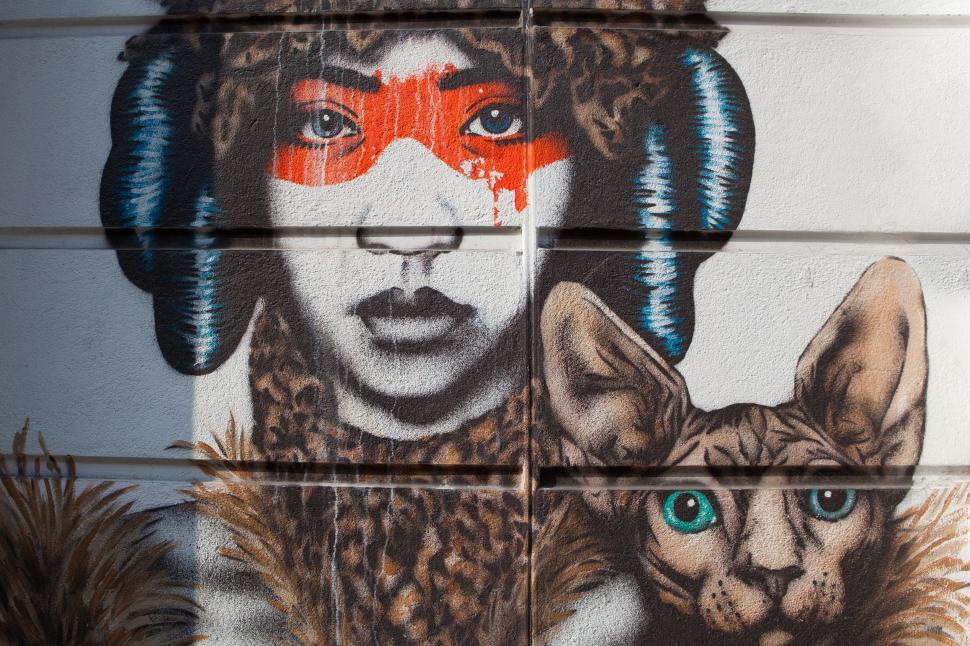 Free Image of Cat Wall Art Free Stock Photo 