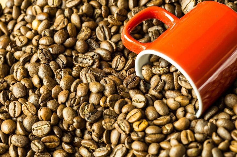 Free Image of Coffee Beans &amp Cup Free Stock Photo 