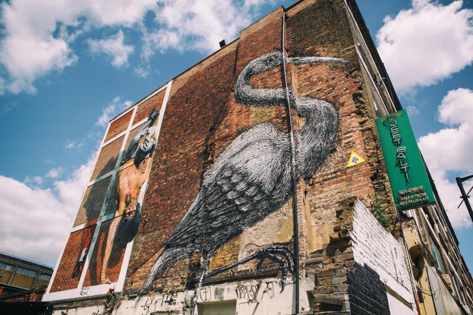 Free Image of East London Bird Free Stock Photo 