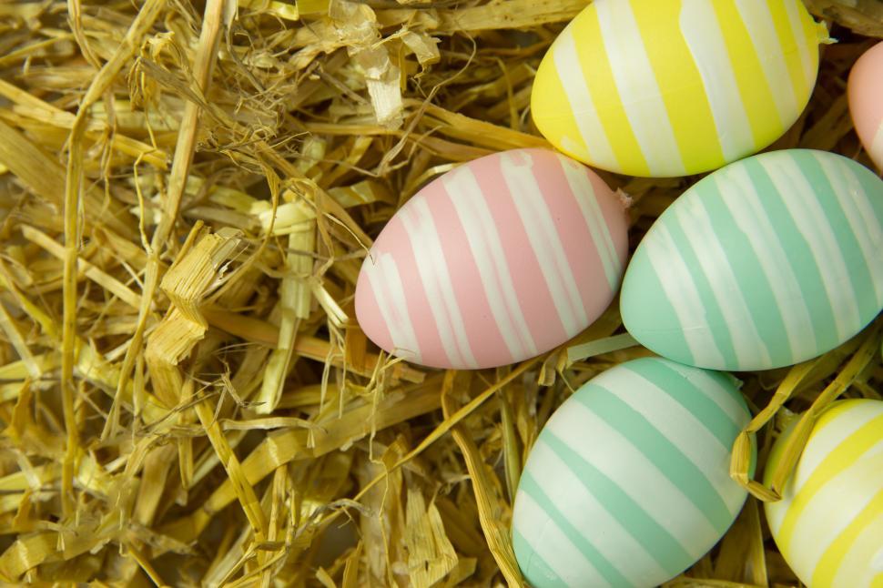 Free Image of Easter Eggs Free Stock Photo 