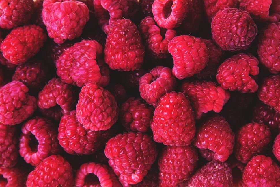 Free Image of Fresh Raspberries Free Stock Photo 
