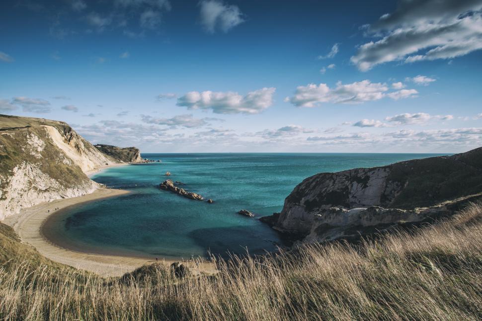 Free Image of Jurassic Landscape Free Stock Photo 