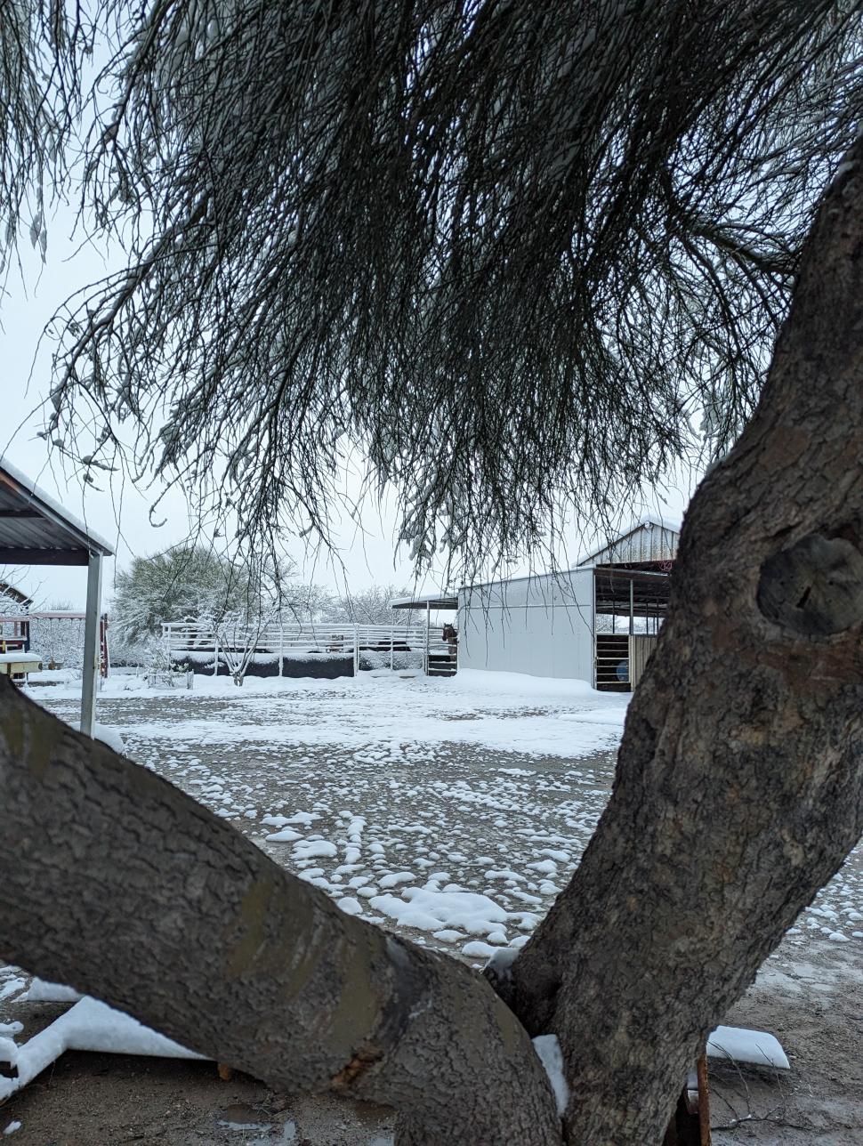 Free Stock Photo of Arizona Winters Download Free Images and Free