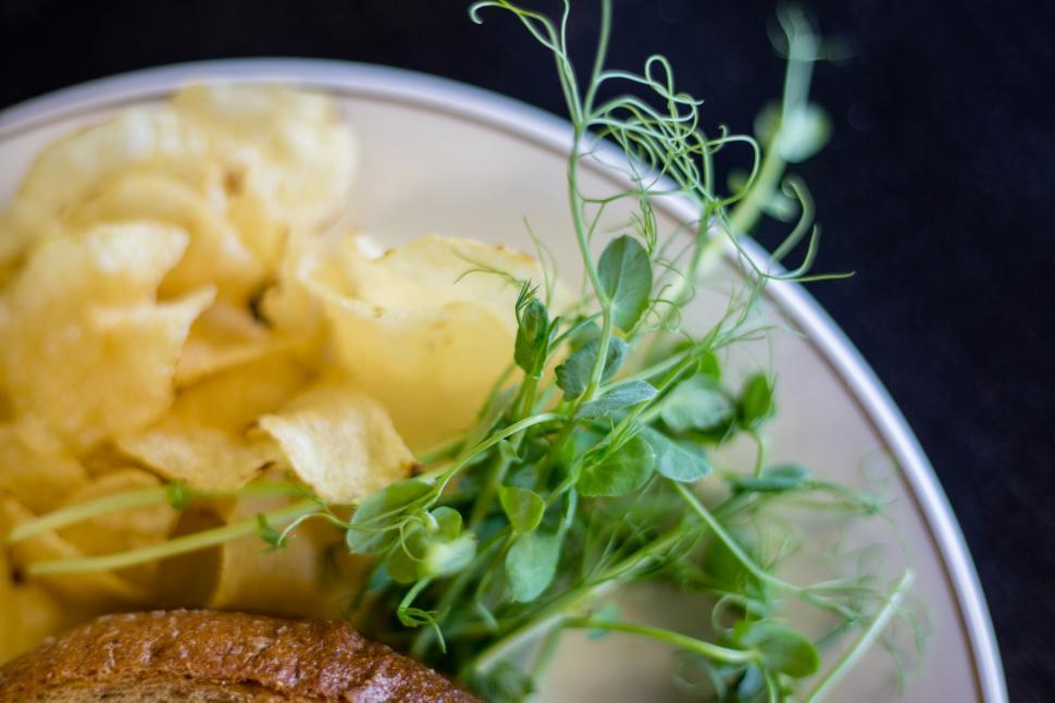 Free Image of A plate of potato chips and sprouts 
