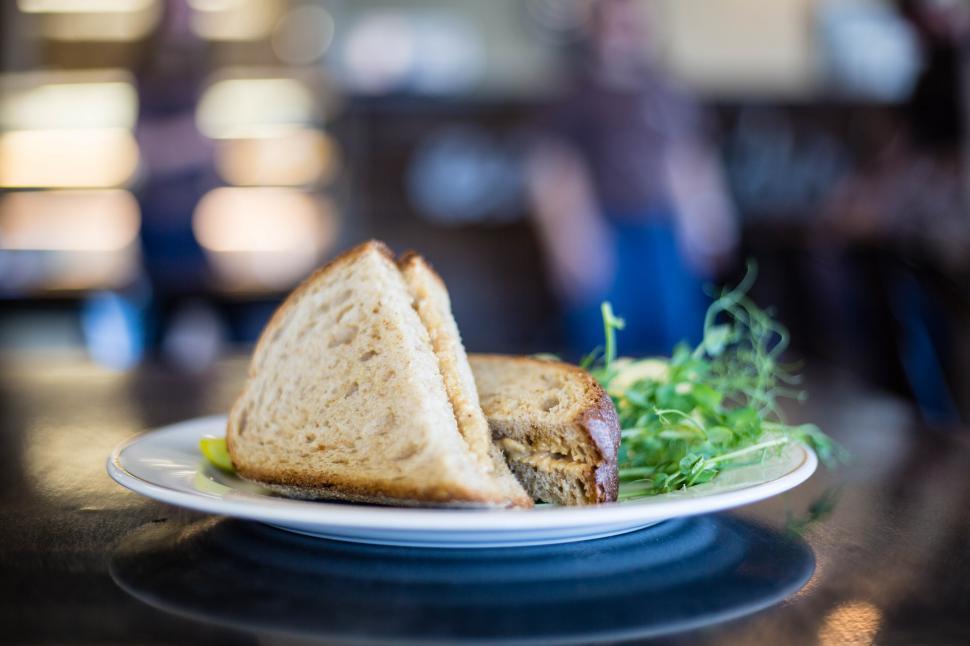 Free Image of A sandwich on a plate 