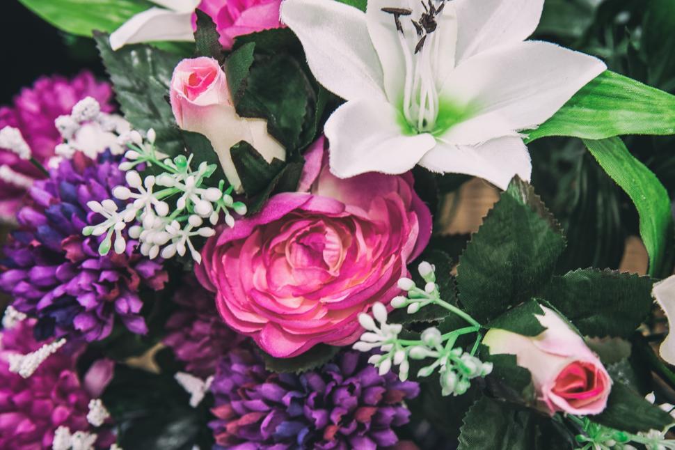 Free Image of A close up of flowers 
