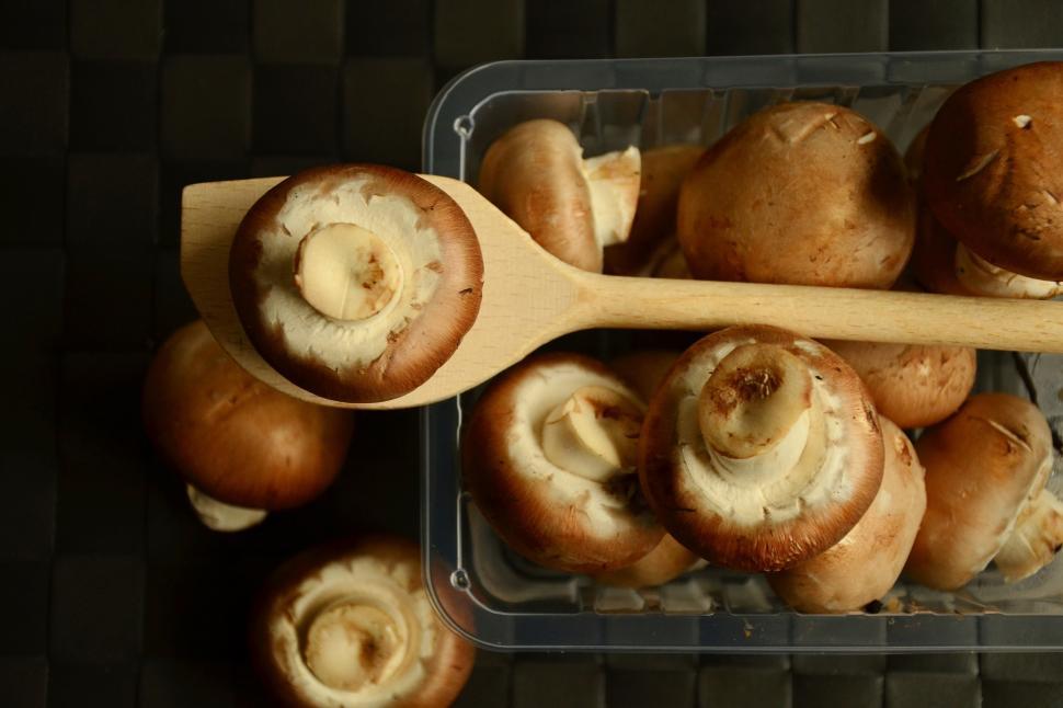 Free Image of Raw Mushrooms Free Stock Photo 