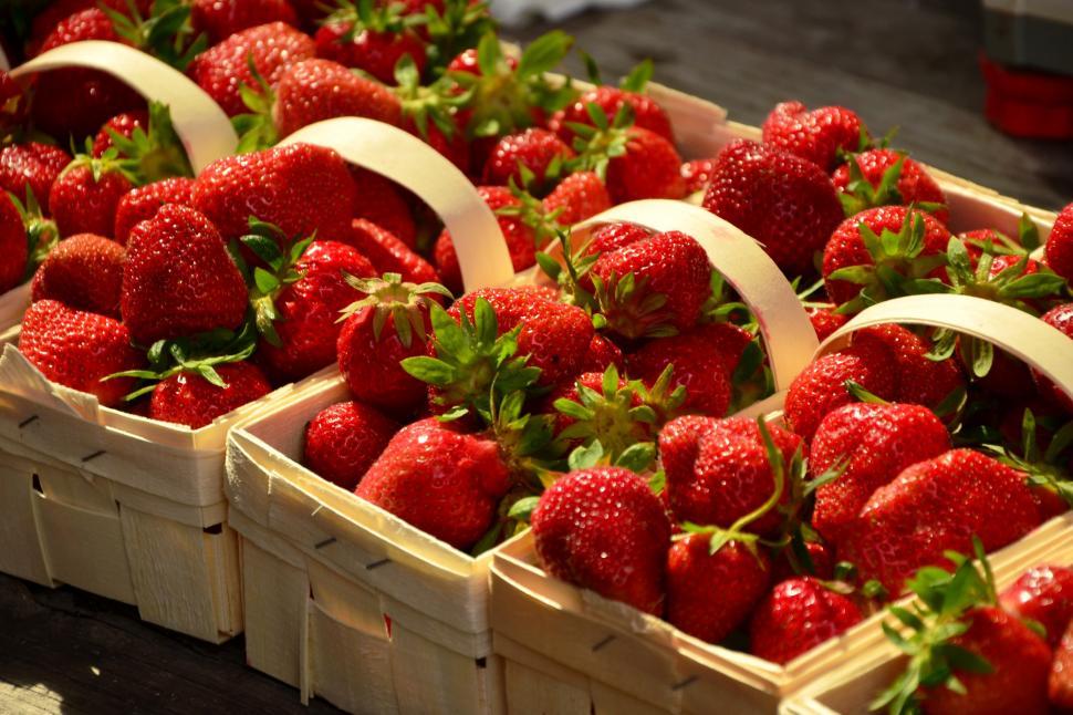 Free Image of Strawberry Boxes Free Stock Photo 