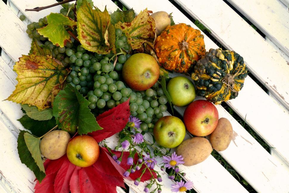 Free Image of Thanksgiving Harvest Free Stock Photo 