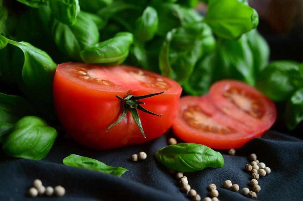Free Image of Tomatoes &amp Basil Free Stock Photo 