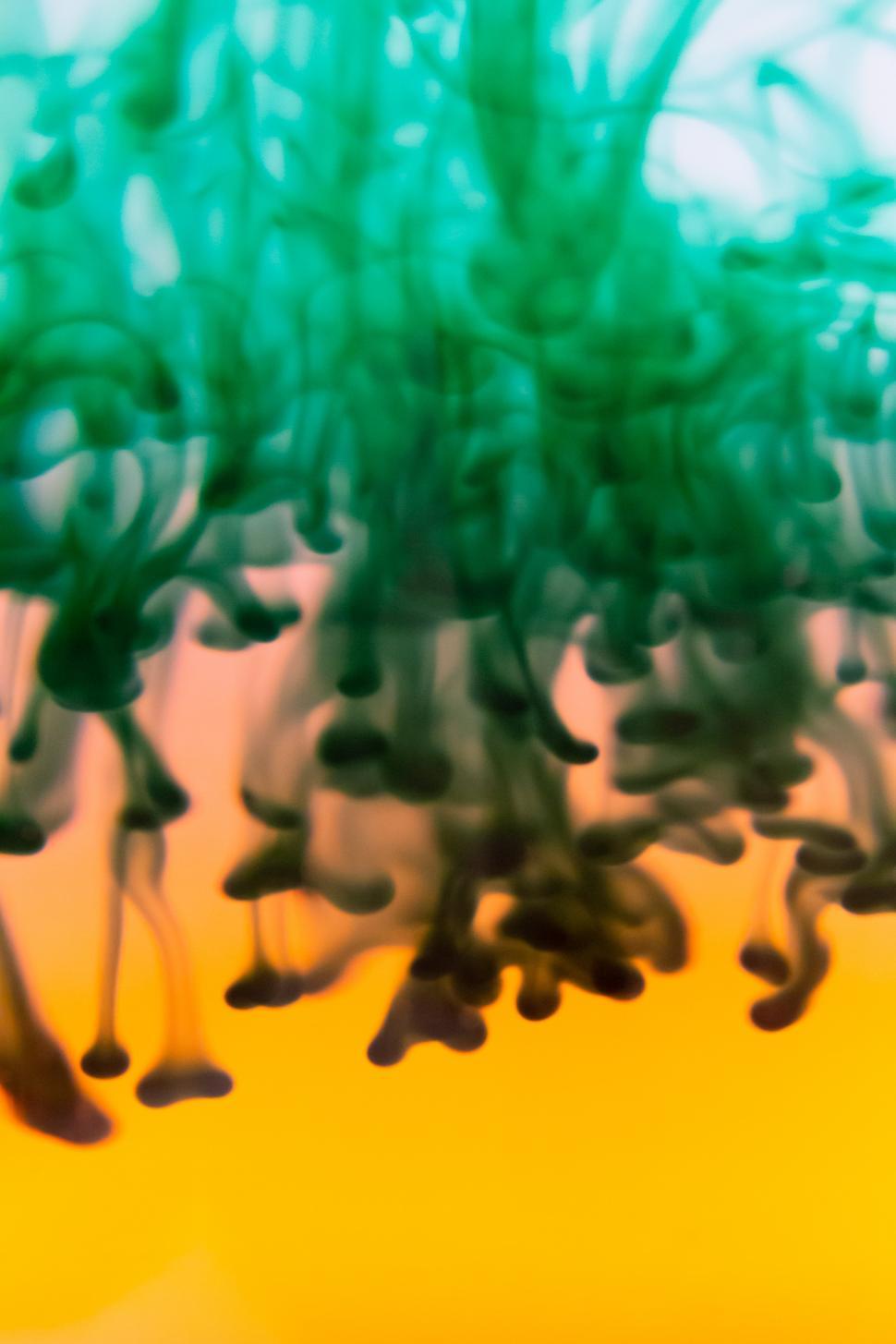 Free Image of Ink Water Liquid Free Stock Photo 
