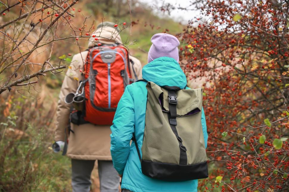 Free Image of A group of people walking through a forest 