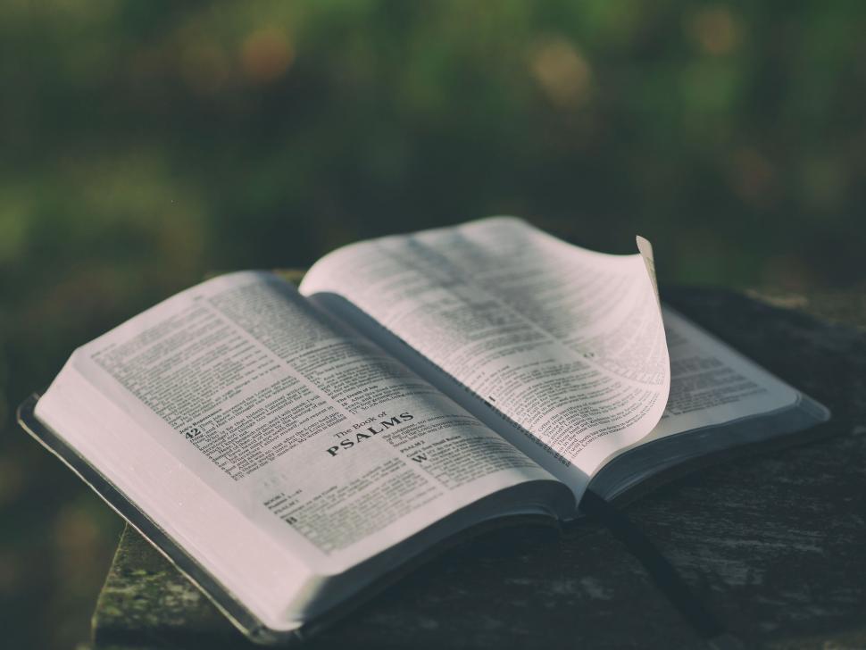 Free Image of A book open on a table 