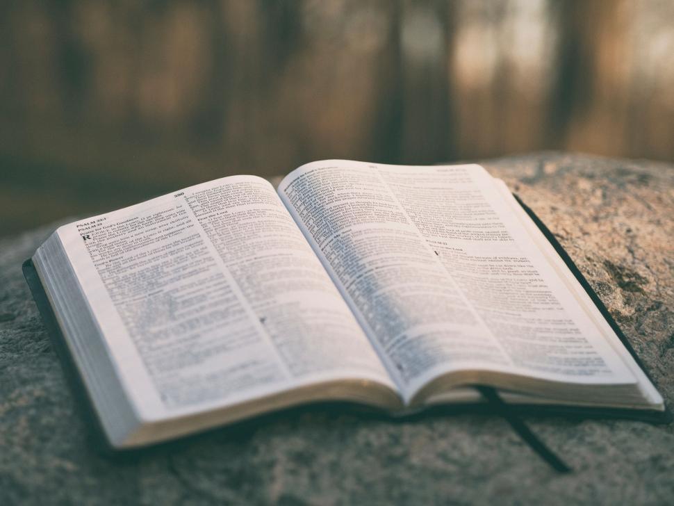 Free Image of A book on a rock 