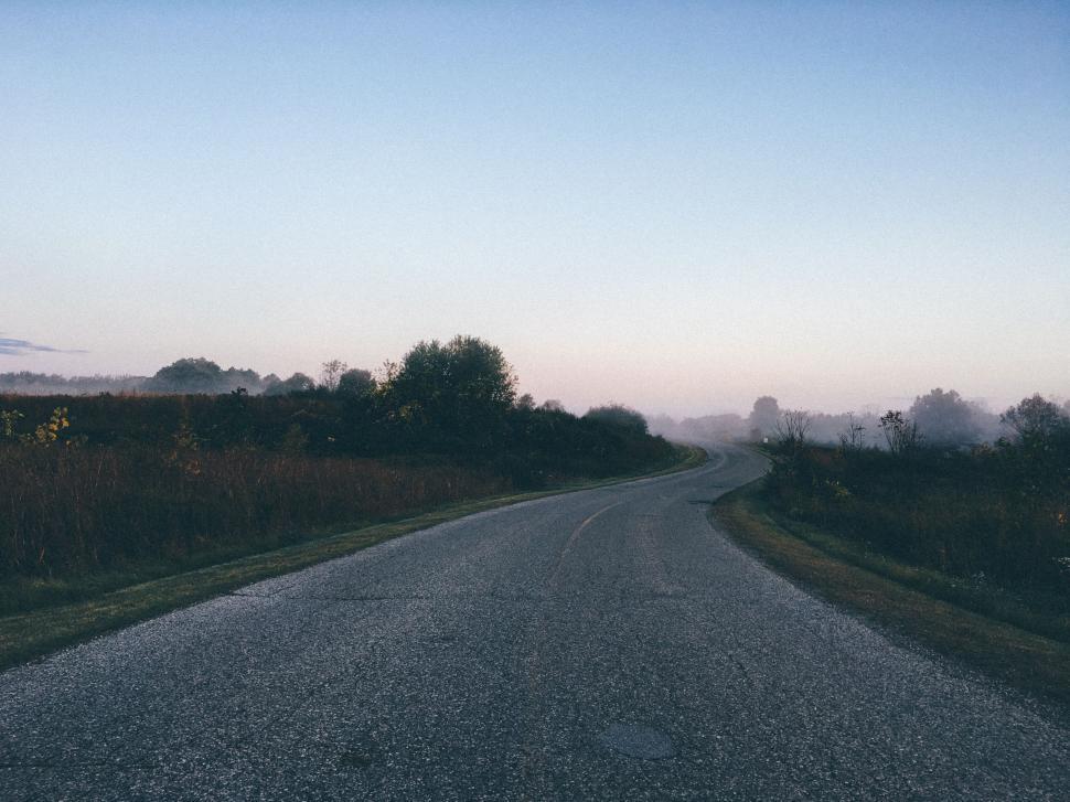 Free Image of A road with trees and grass 