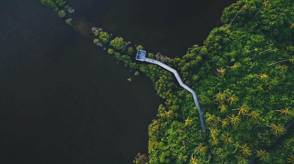 Free Image of A boardwalk over a body of water 