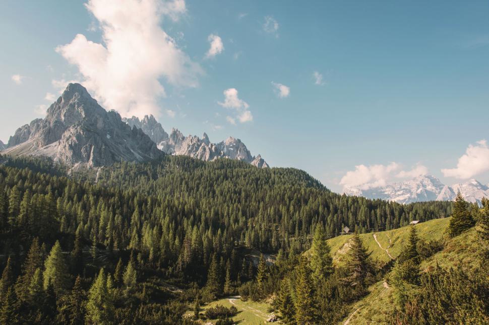 Free Image of A mountain range with trees and a blue sky 