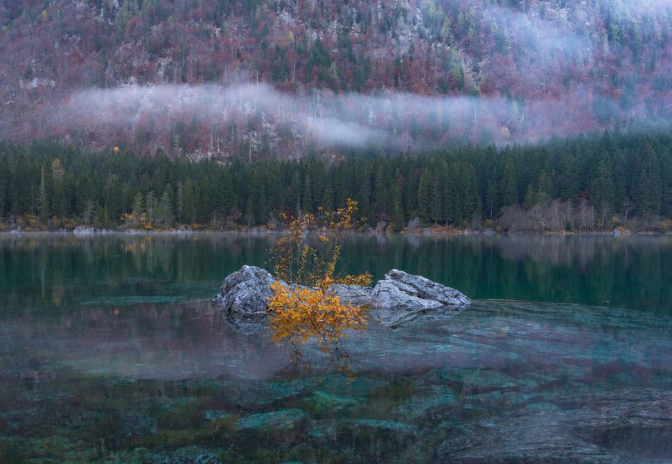 Free Image of A rock in the water with trees in the background 
