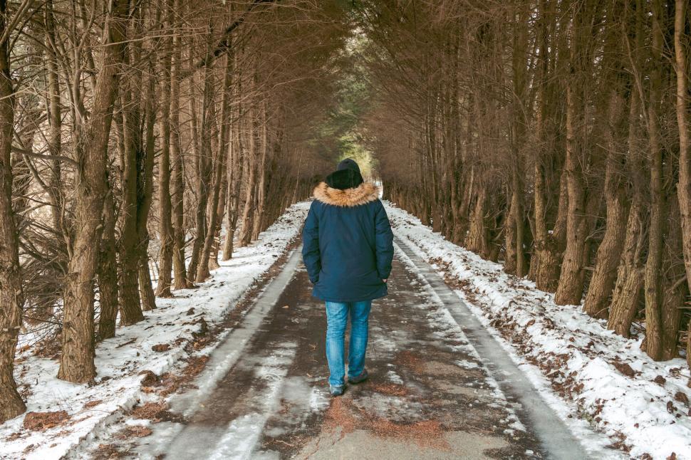 Free Image of A person walking on a road with trees in the background 