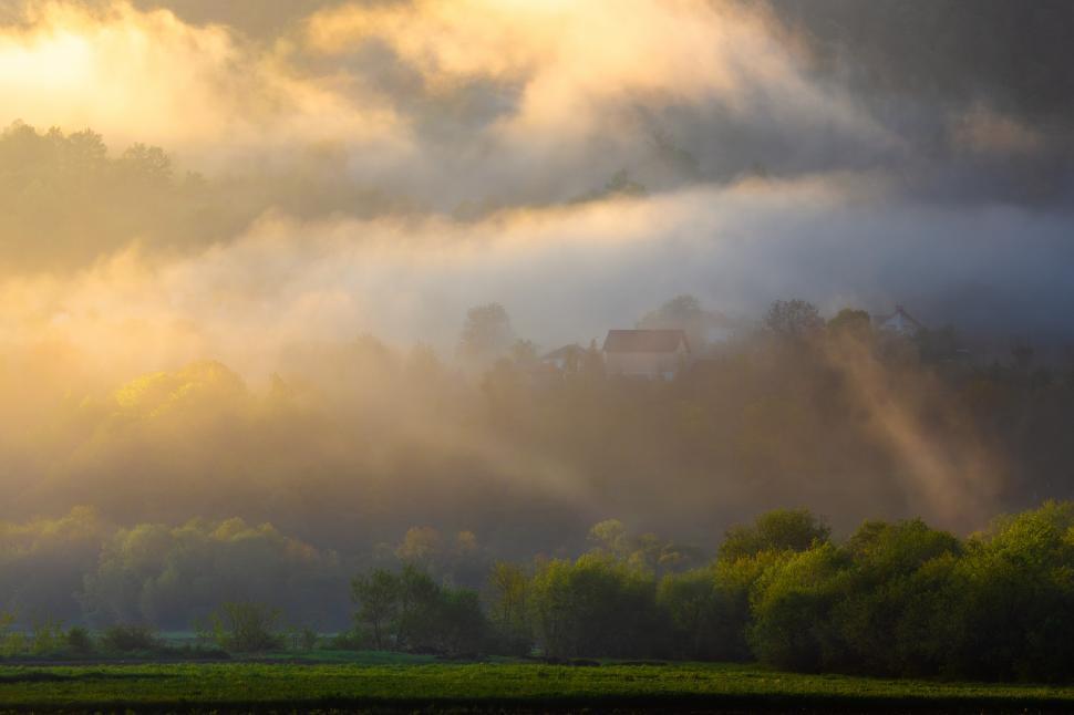 Free Image of A foggy landscape with trees and a house 