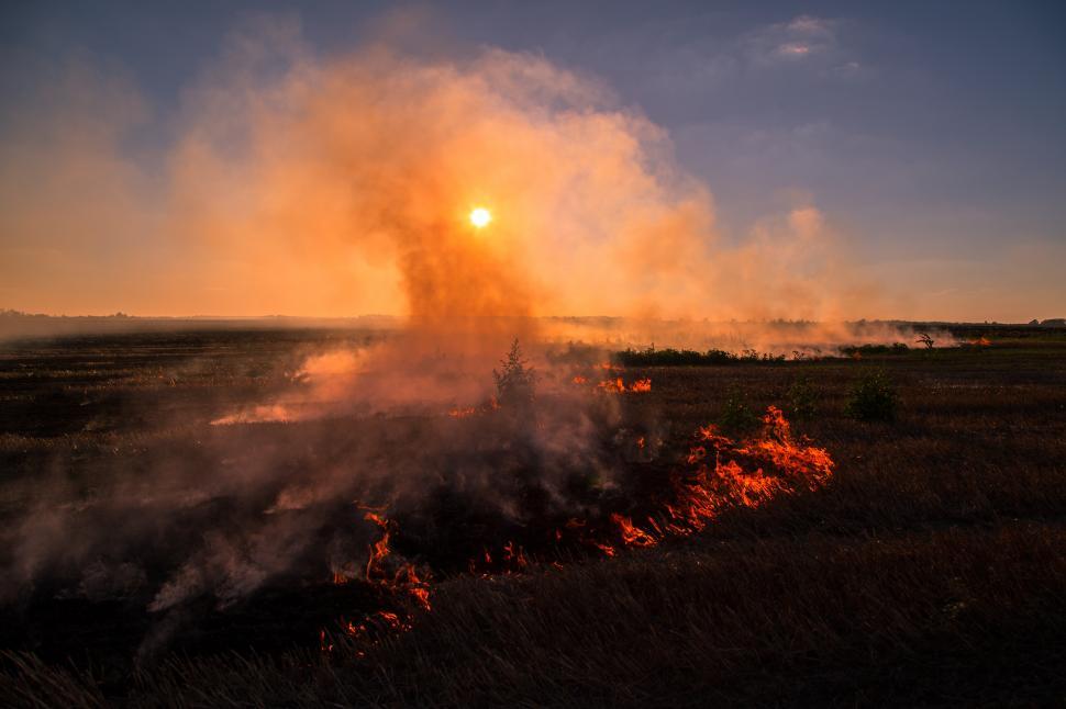 Free Image of A fire in a field 