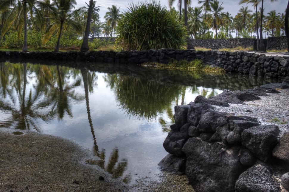 Free Image of Reflection 
