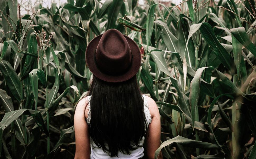 Free Image of A woman in a hat in a field of corn 