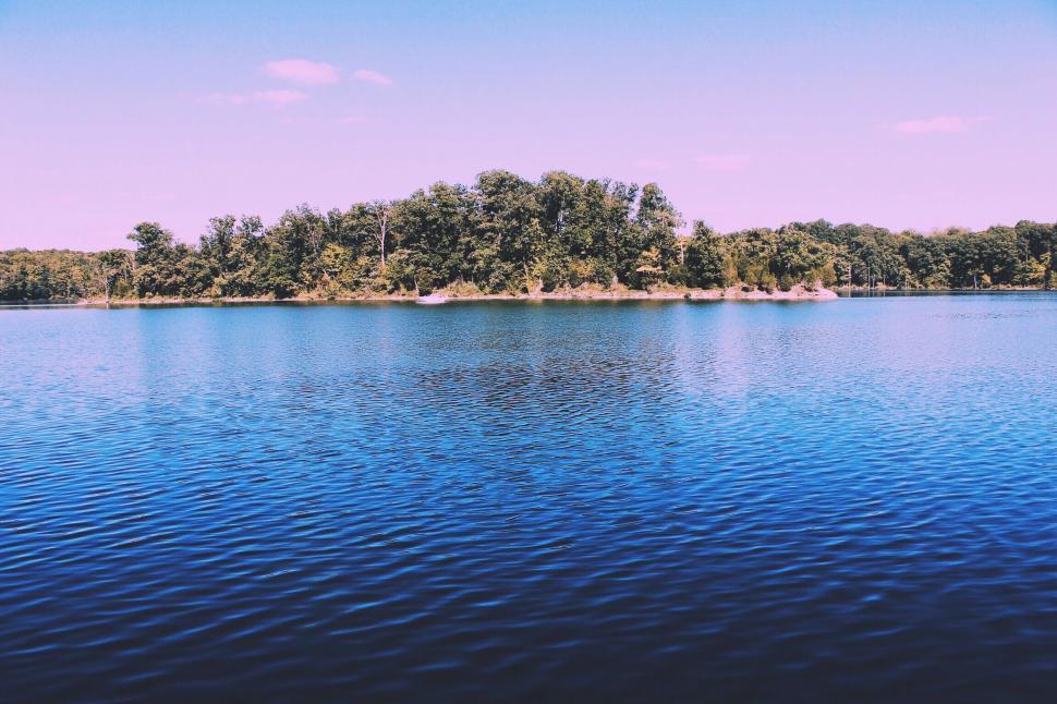 Free Image of A body of water with trees in the background 