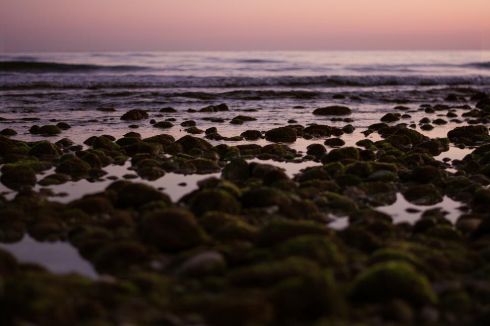 Free Image of Rocky Beach With Water Under Cloudy Sky 