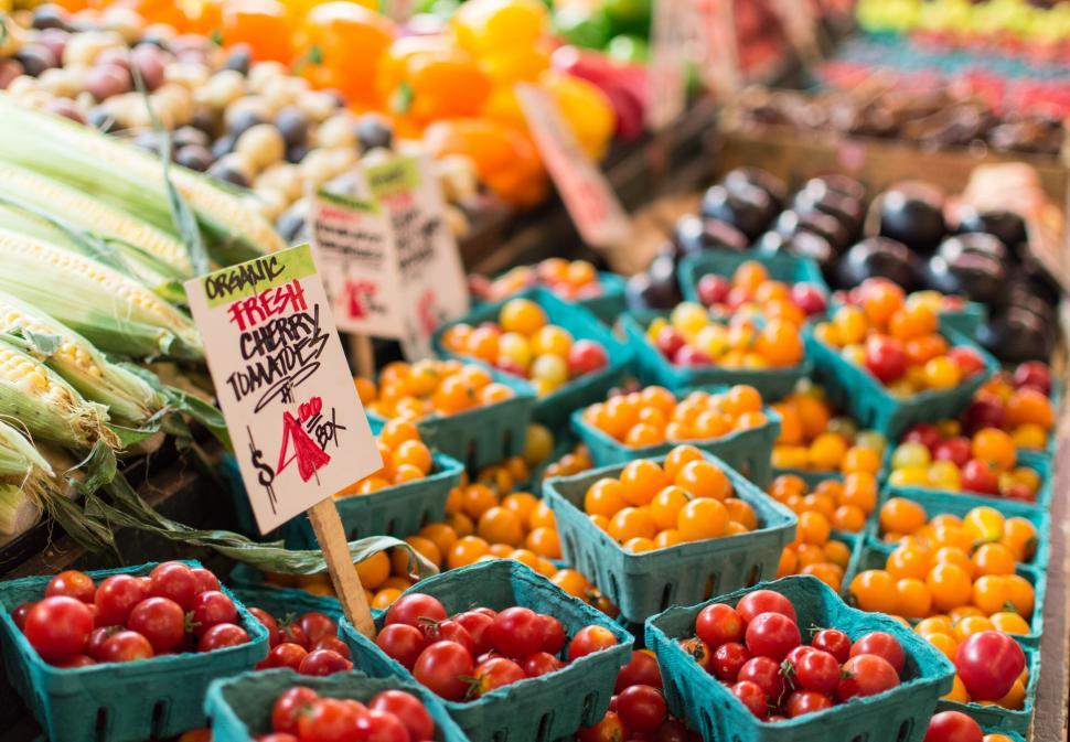 Free Image of A group of baskets of tomatoes 