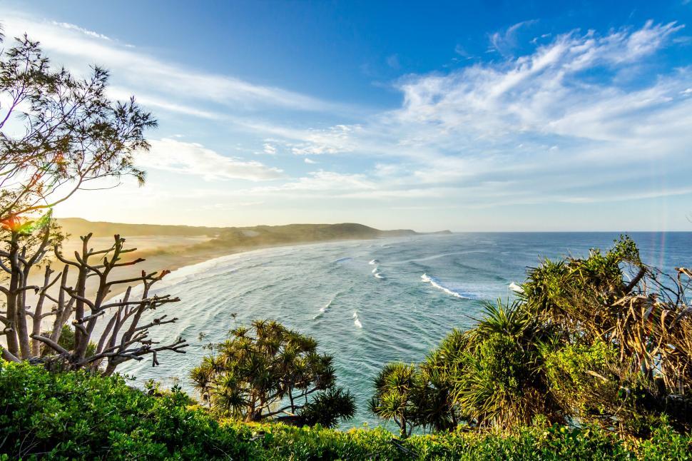 Free Image of A beach with trees and water 