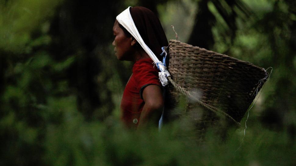 Free Image of A woman carrying a large basket 