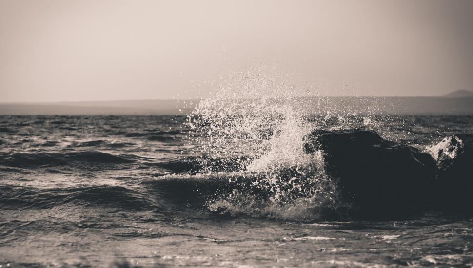 Free Image of A wave crashing into the water 
