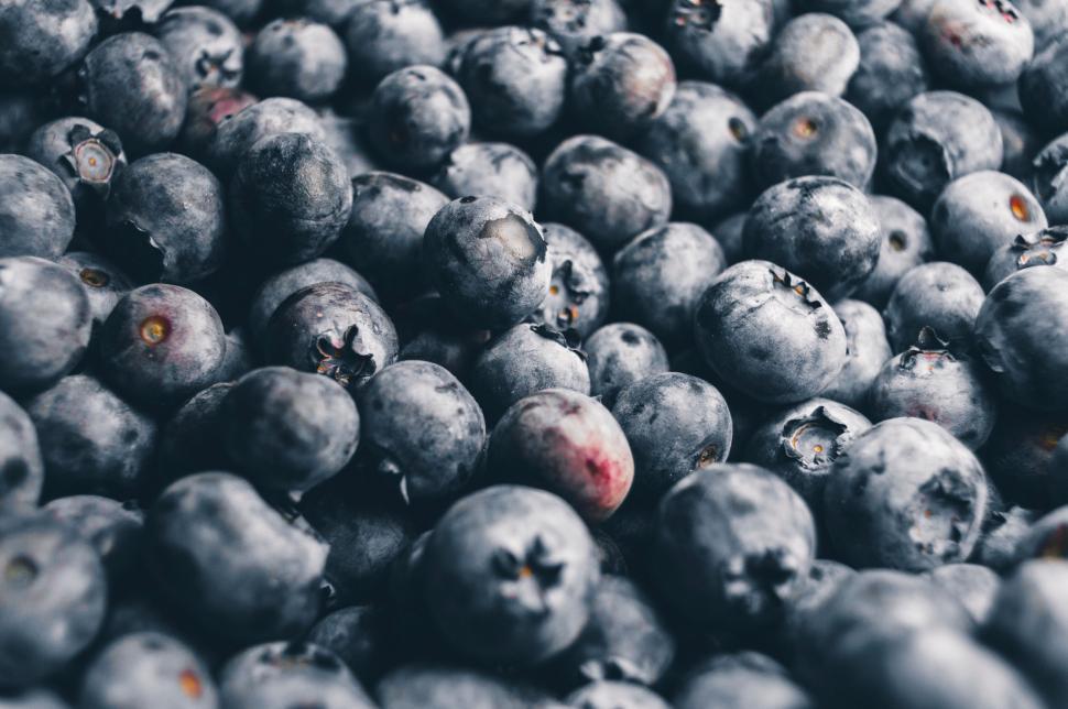 Free Image of Close-up of fresh blueberries texture 