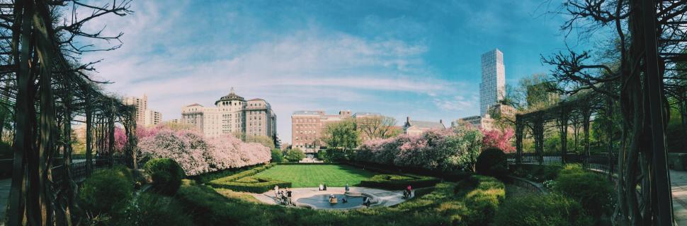 Free Image of Panoramic view of a vibrant city park 