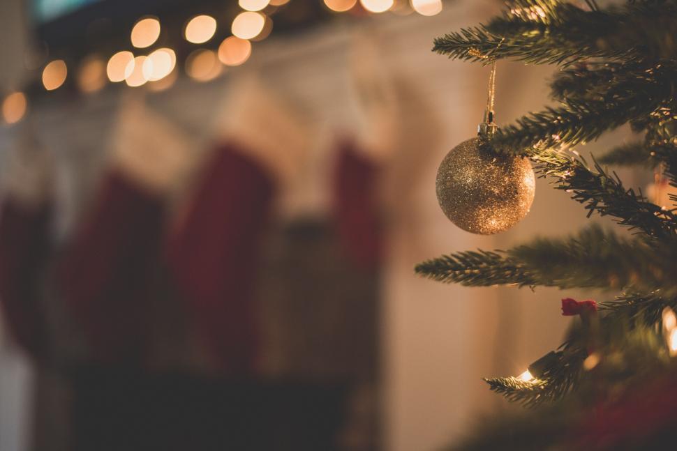 Free Image of Softly lit Christmas scene with festive decor 