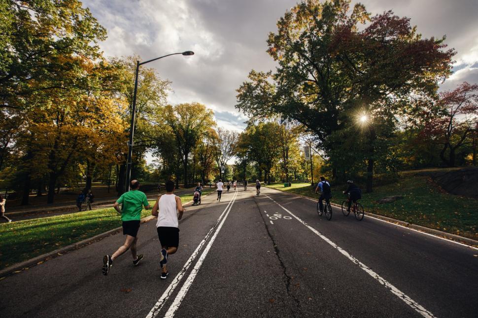 Free Image of People enjoying outdoor activities in a park 