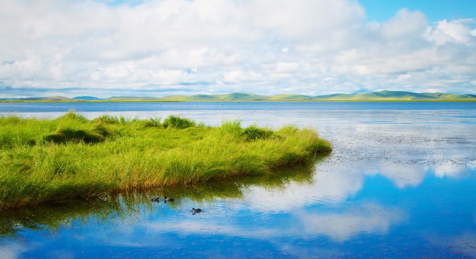Free Image of Tranquil lake view with lush grassy banks 