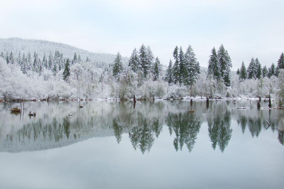 Free Stock Photo of Serene snowy landscape with reflections