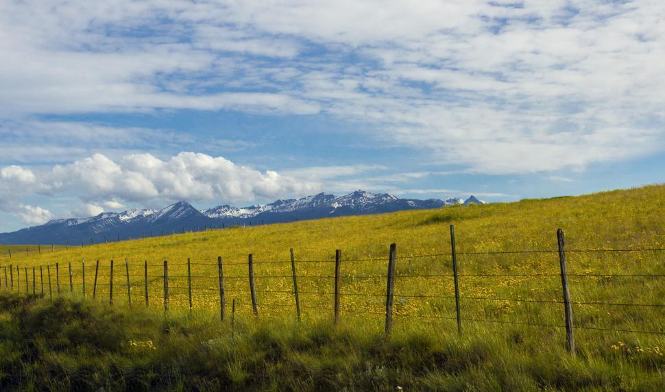Free Image of Sunny meadow with mountains and blue sky 