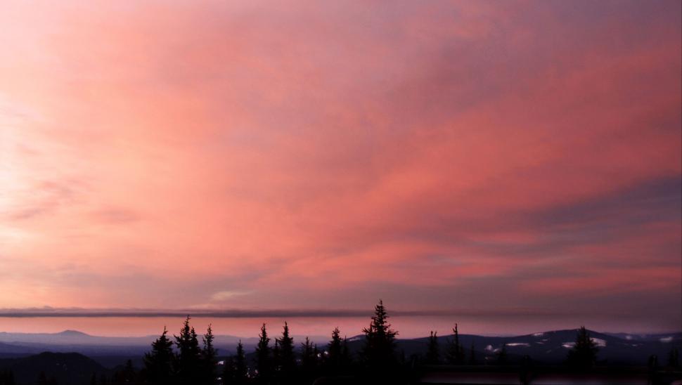 Free Image of Vivid sunset skies over a tranquil forest 
