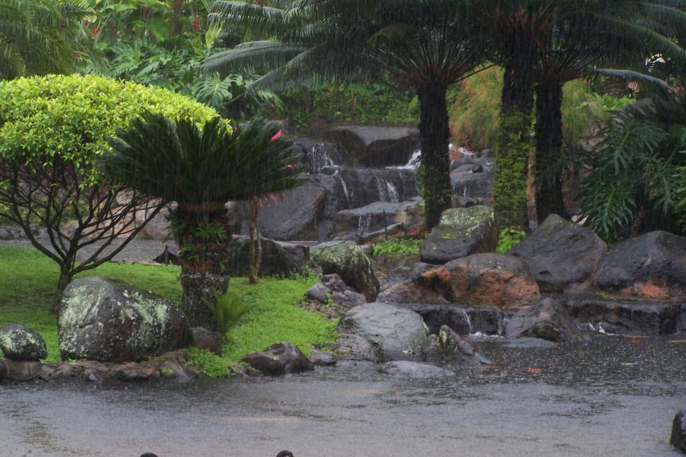 Free Image of Pond Landscape 