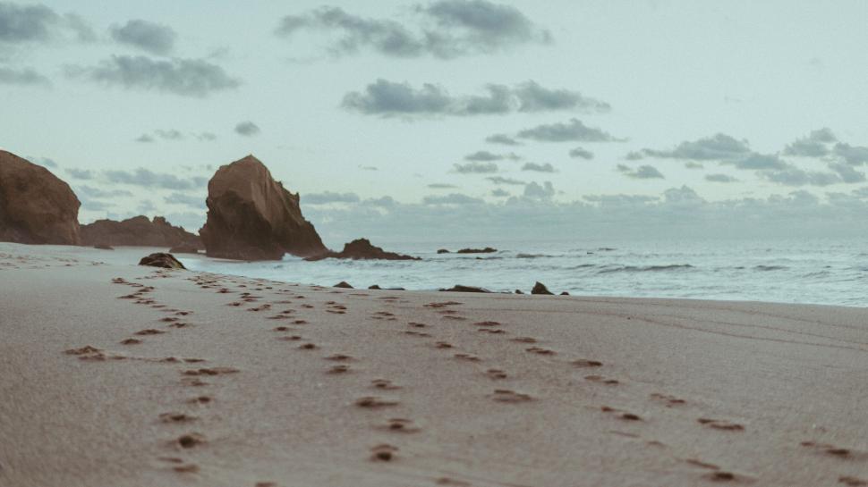Free Image of Footprints trailing off on a sandy beach 