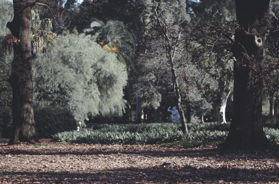 Free Image of Tranquil park scene in autumn 