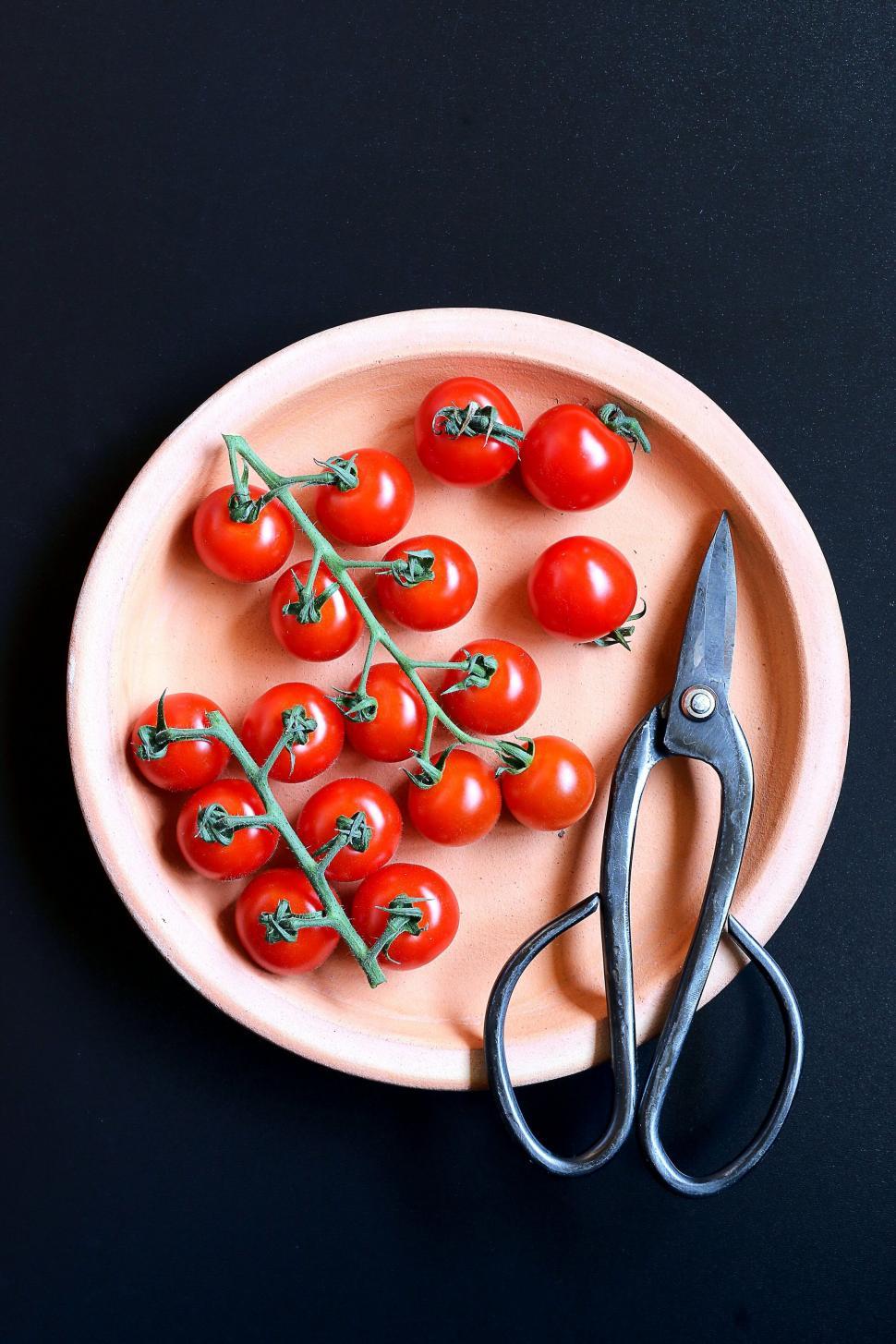 Fresh tomatoes on plate with gardening shears