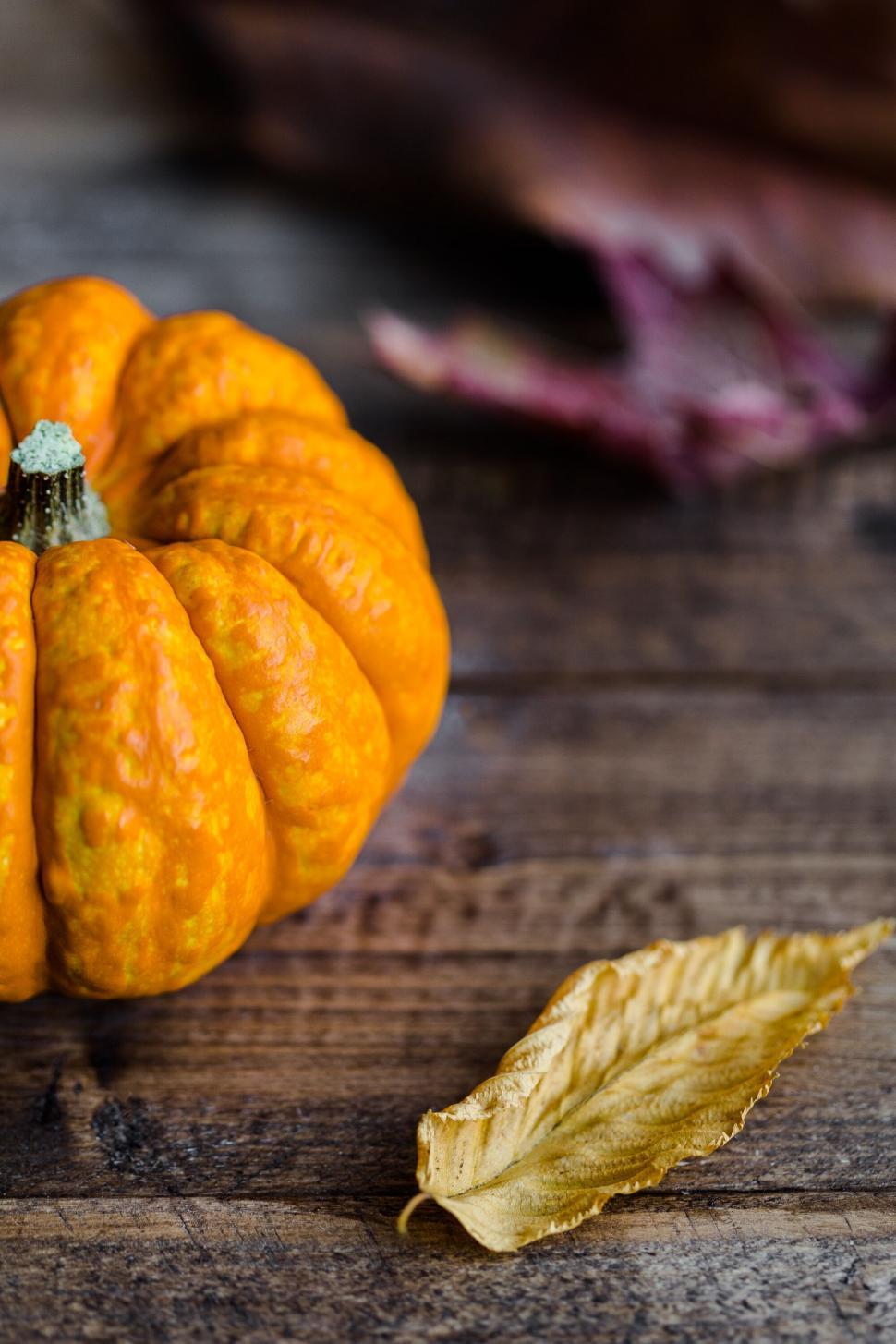 Free Image of Vivid orange pumpkin on rustic background 