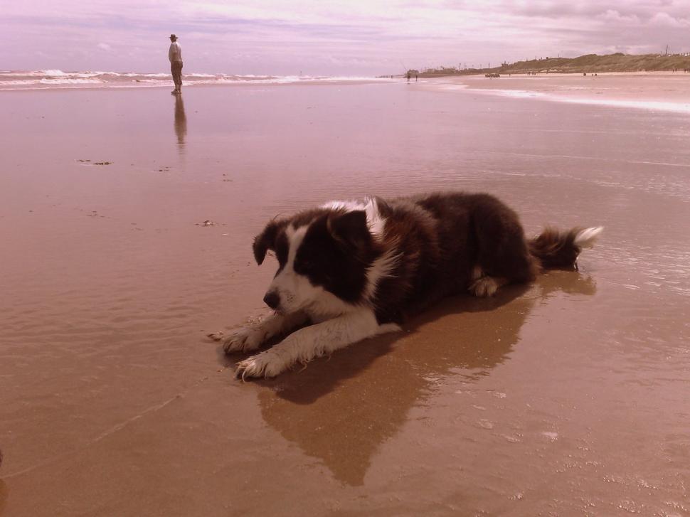 Free Image of meg 
