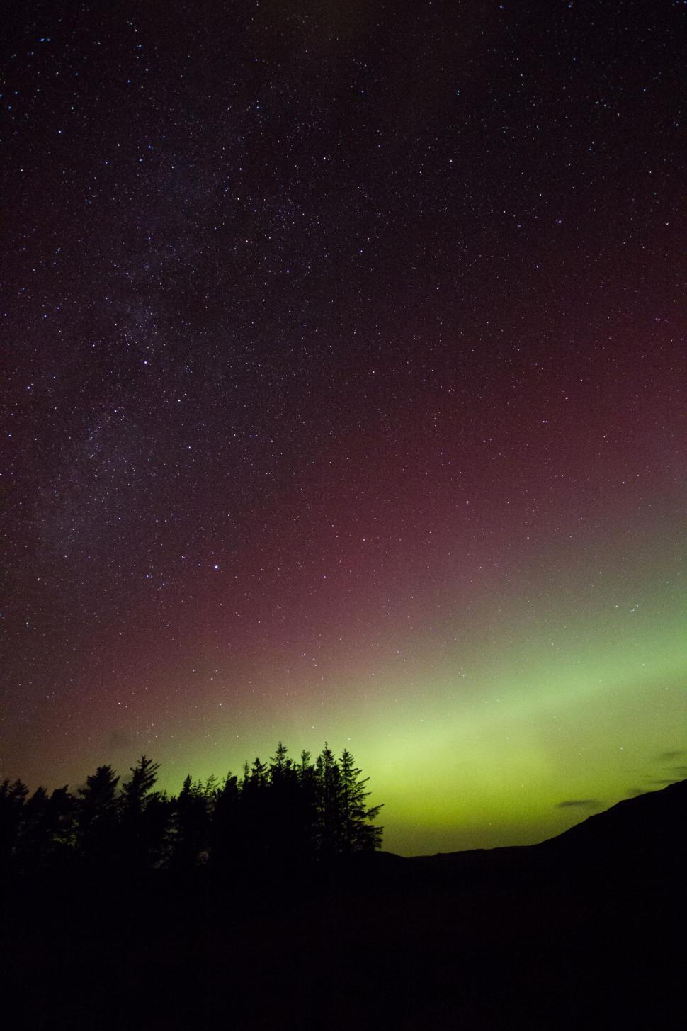 Free Image of Northern lights over a forest silhouette 