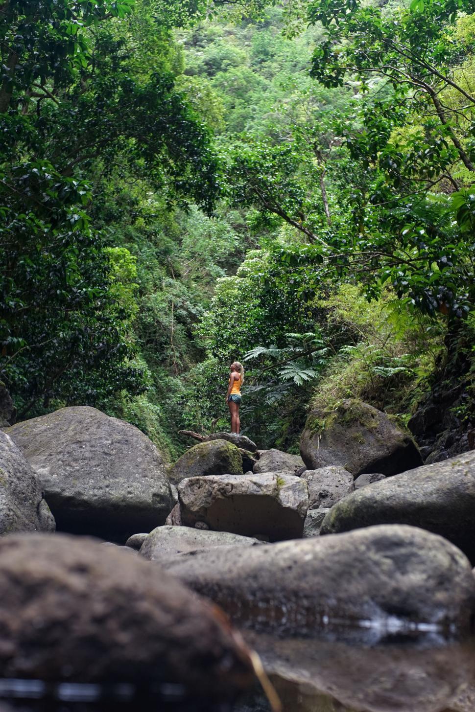 Free Image of Woman standing amidst forest greenery 
